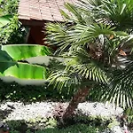 Laguna Pensiune
