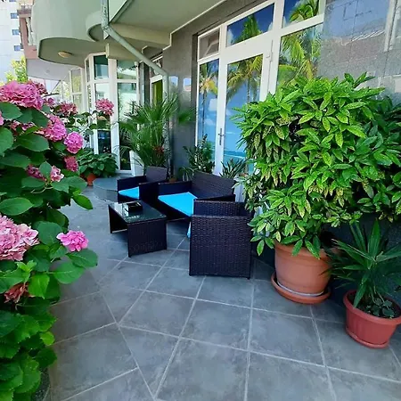Guest house Laguna