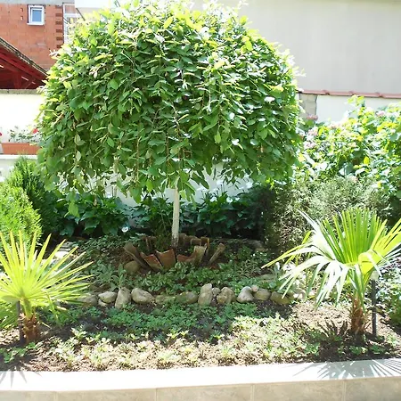 Laguna Гостевой дом Китен